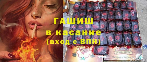 гашик Елизово