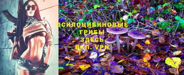 марки lsd Елабуга