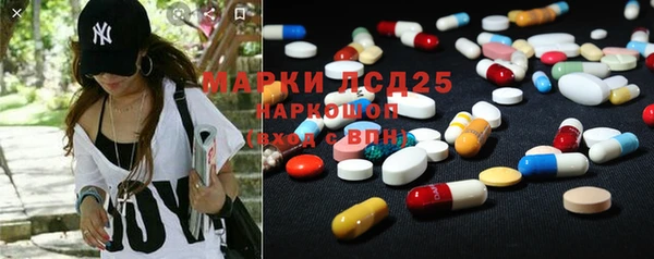 гашик Елизово