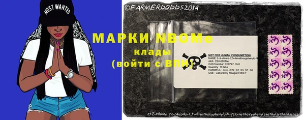гашик Елизово