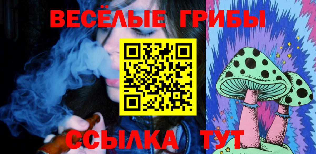 Ивантеевка  Галлюциногенные грибы Magic Shrooms  Вход с VPN 